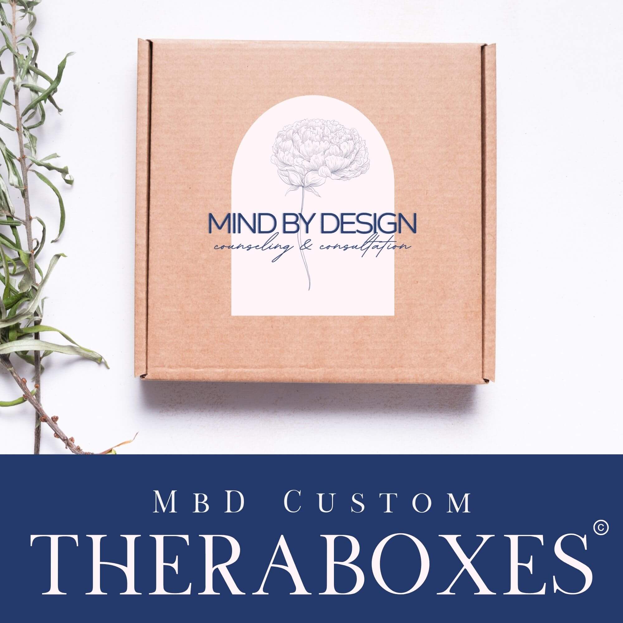mind by design TherapBox for online alternative therapy